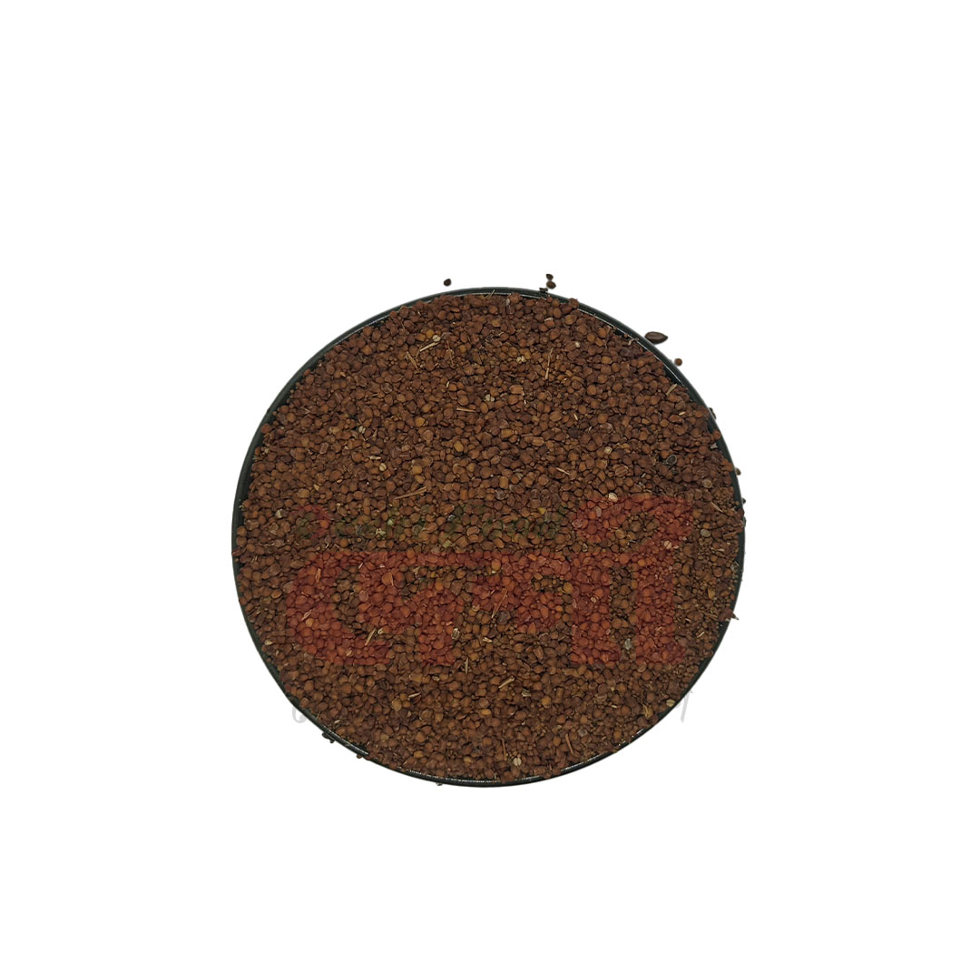 তাল মাখনা