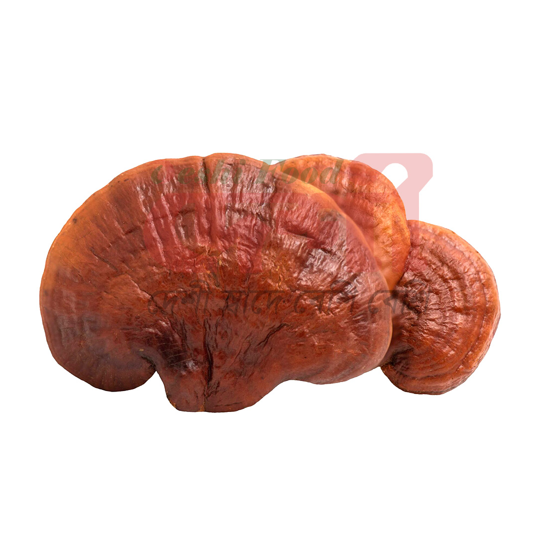 রেইশি মাশরুম