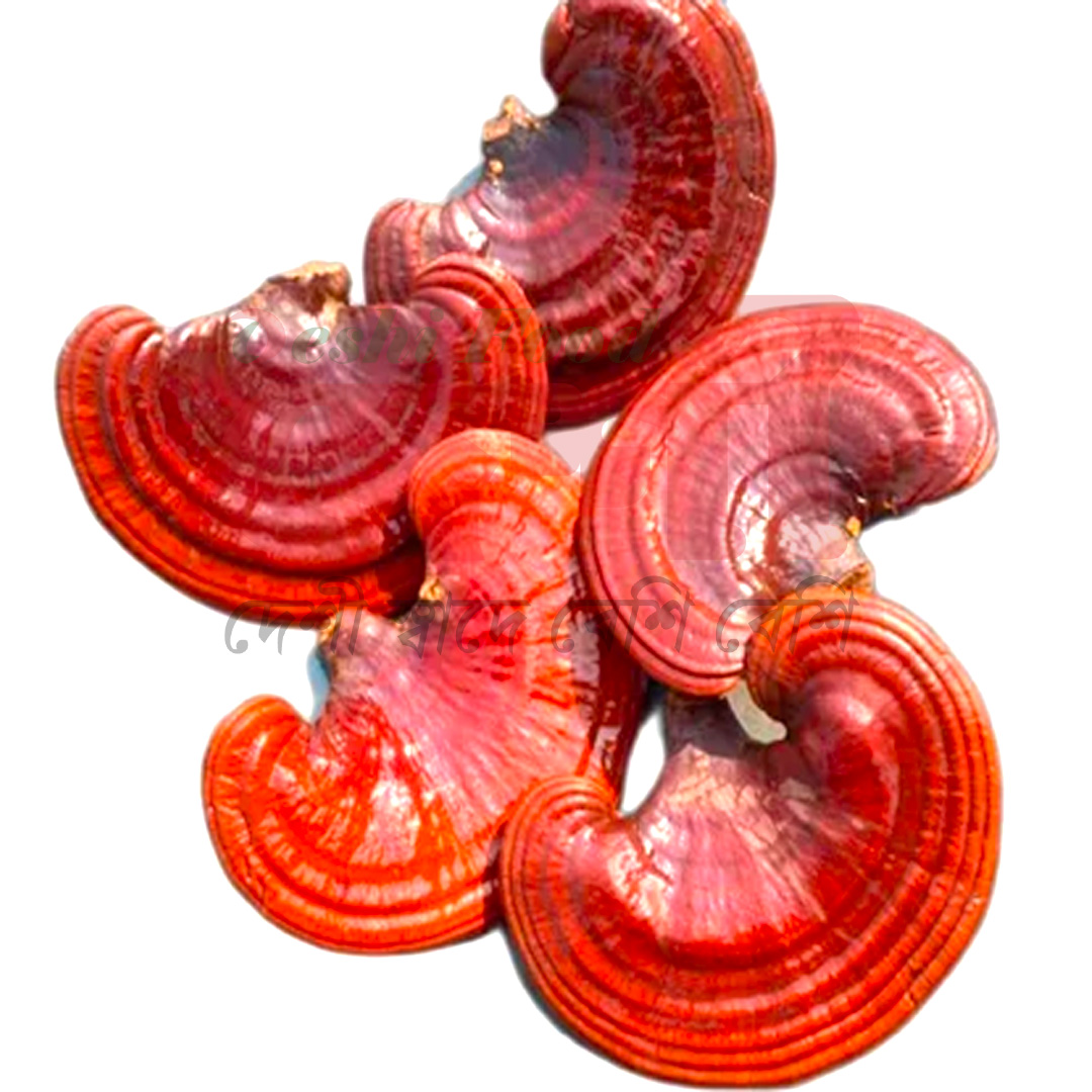 রেইশি মাশরুম