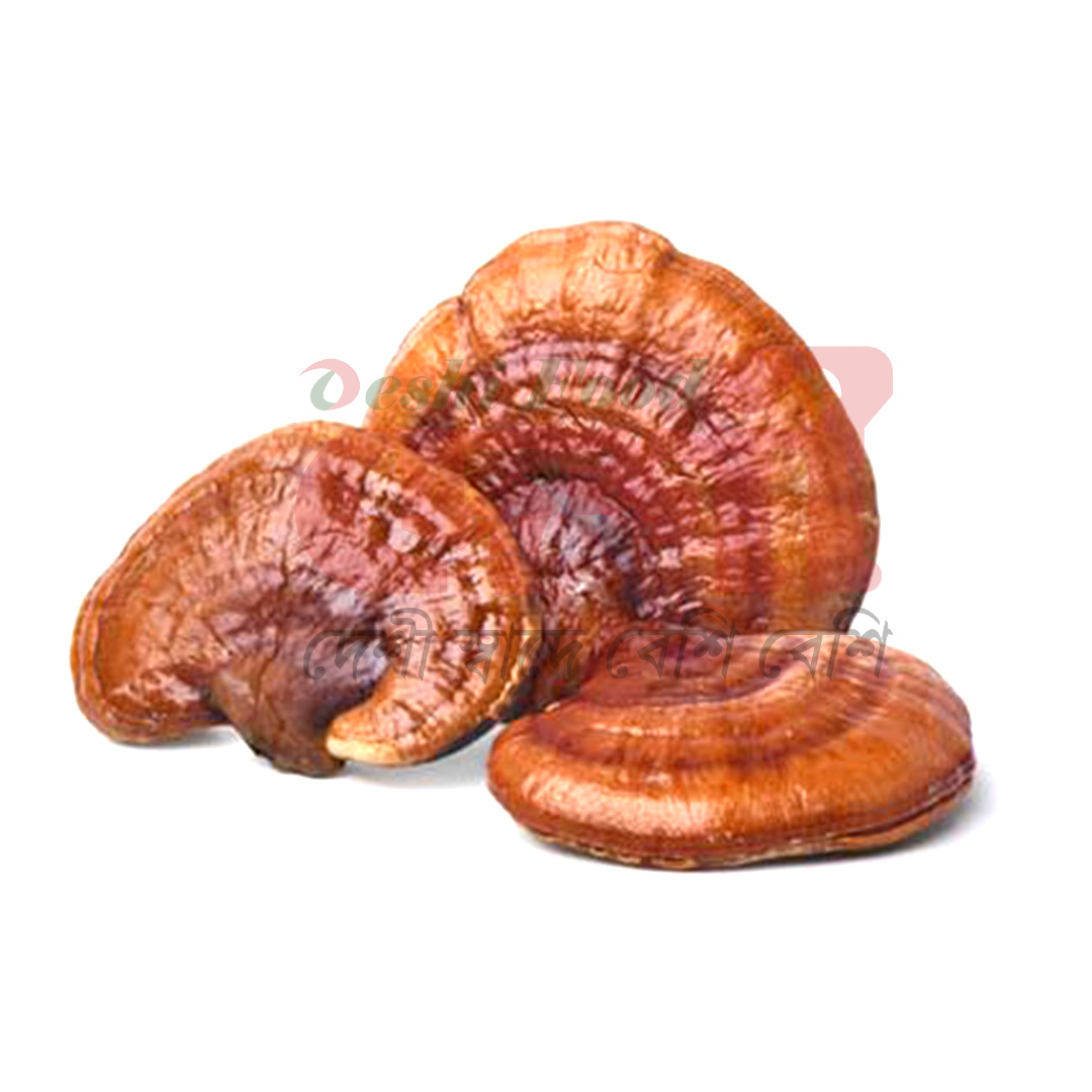 রেইশি মাশরুম